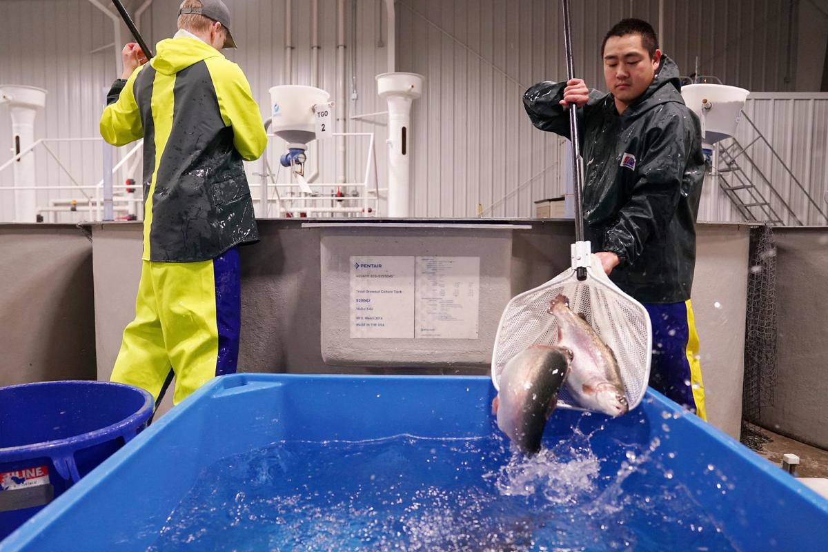 Aquaculture technician Brody Stelmach, left, and assistant aquaculture manager Lee Scoggin